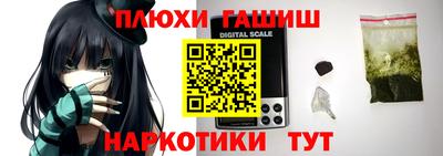 гидропоника Краснознаменск