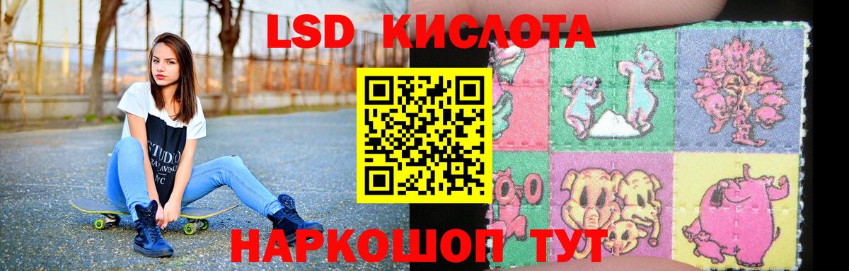 Лсд 25 экстази кислота  LSD-25 экстази кислота  Лсд 25 экстази  Щёлково  Вход с VPN 