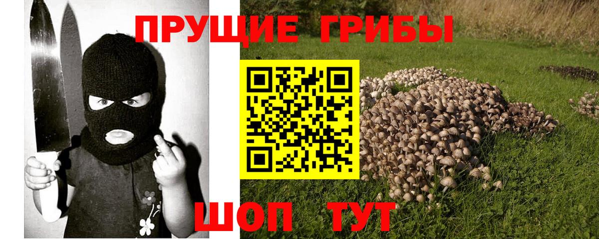 Псилоцибиновые грибы мухоморы Щёлково