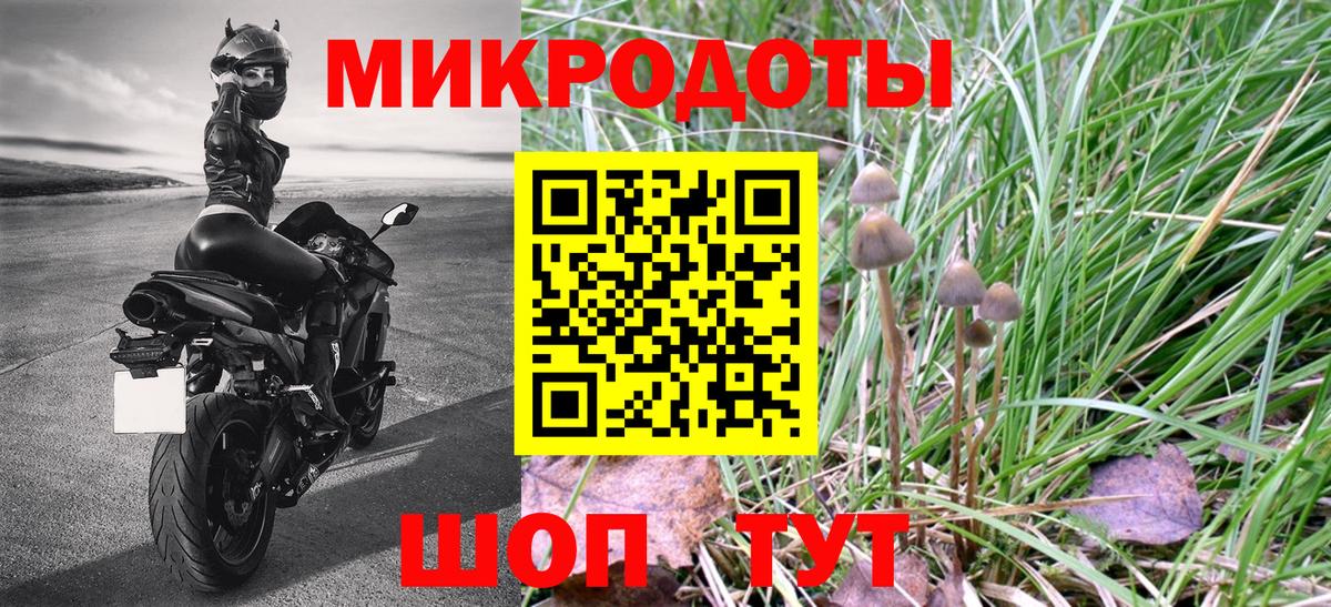 закладки  Псилоцибиновые грибы Magic Shrooms  Вход с VPN  Галлюциногенные грибы мицелий  Щёлково 